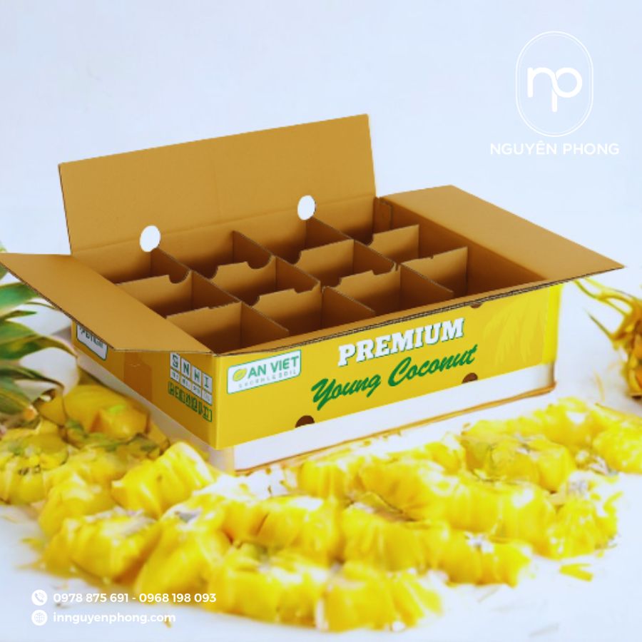 in-thung-carton-dung-dua-gia-re-tai-ha-noi